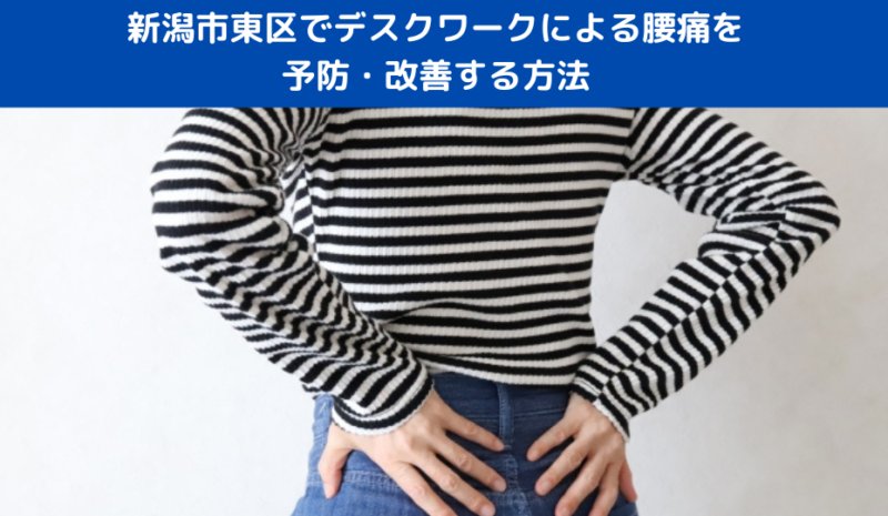 新潟市東区でデスクワークによる腰痛を予防・改善する方法